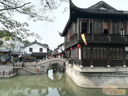 动物帮帮忙保卫家园
